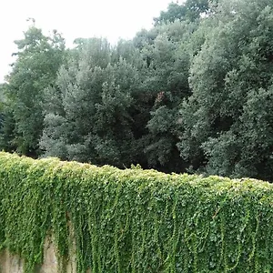 Un'angolo Incantato , Florence Italy